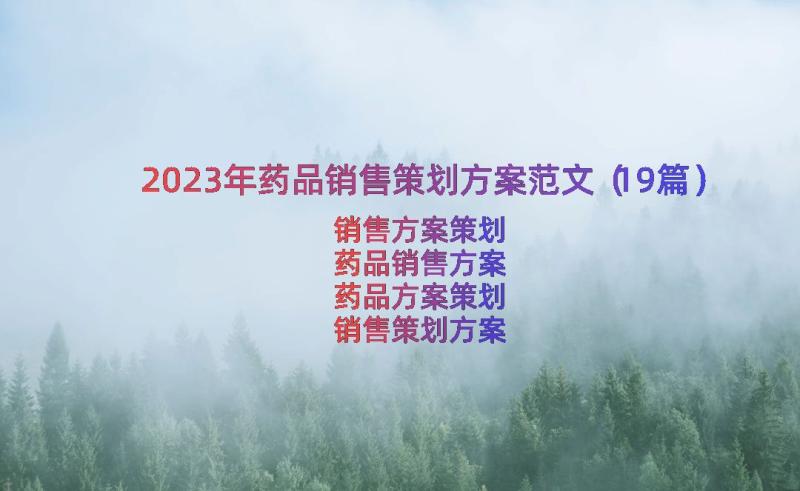 2023年药品销售策划方案范文（19篇）