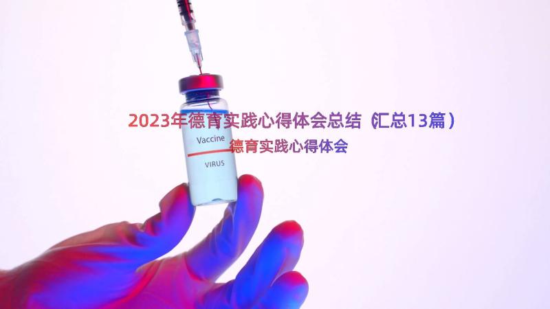 2023年德育实践心得体会总结（汇总13篇）