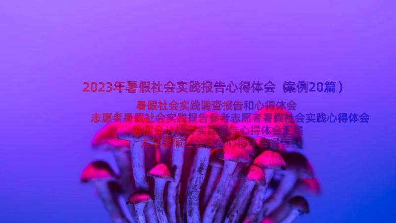 2023年暑假社会实践报告心得体会（案例20篇）