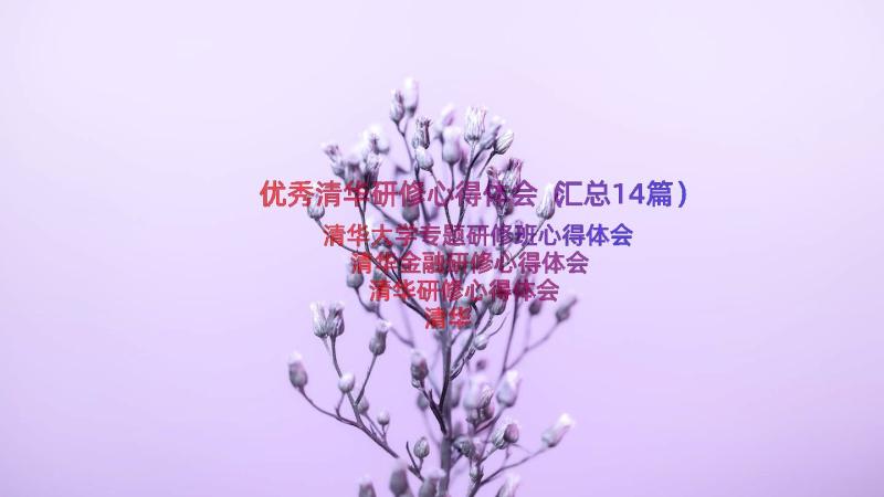 优秀清华研修心得体会（汇总14篇）