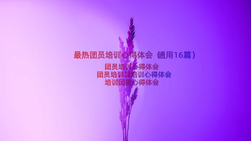 最热团员培训心得体会（通用16篇）