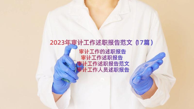 2023年审计工作述职报告范文（17篇）