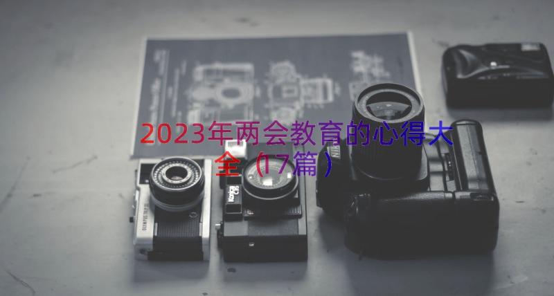 2023年两会教育的心得大全（17篇）