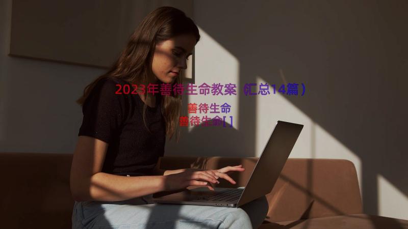 2023年善待生命教案（汇总14篇）