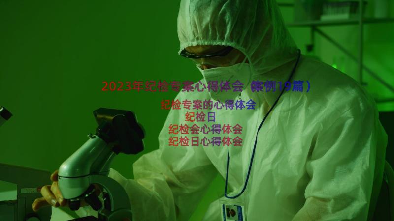 2023年纪检专案心得体会（案例19篇）