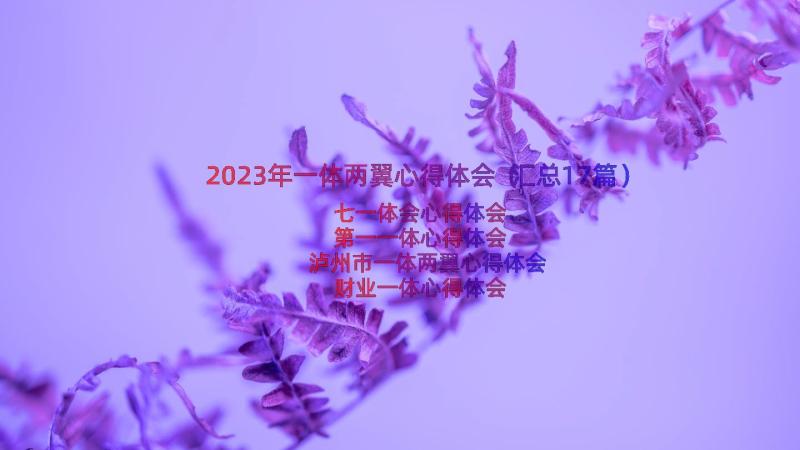 2023年一体两翼心得体会（汇总17篇）