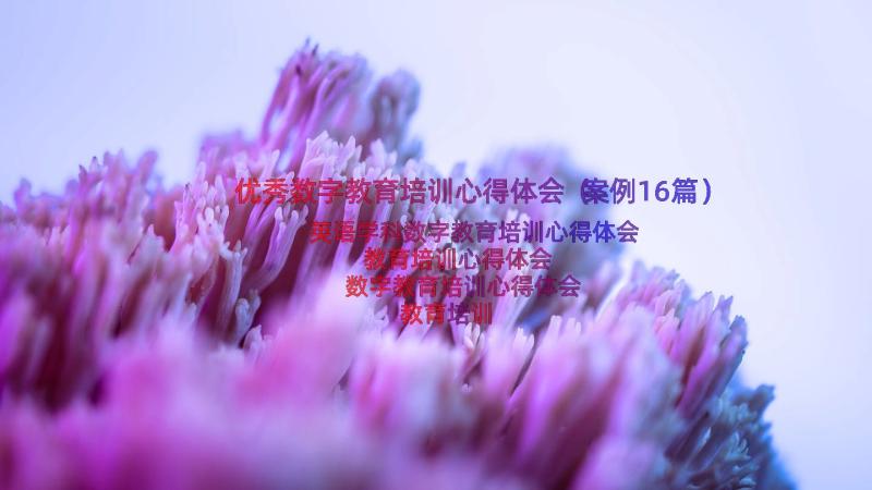 优秀数字教育培训心得体会（案例16篇）