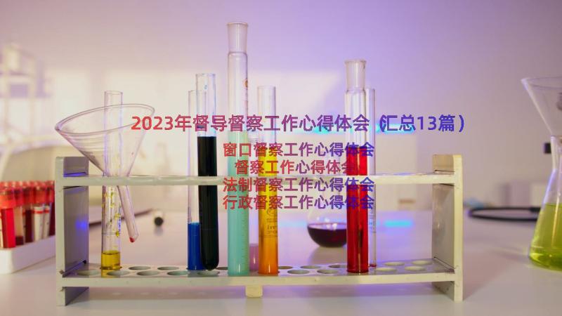 2023年督导督察工作心得体会（汇总13篇）