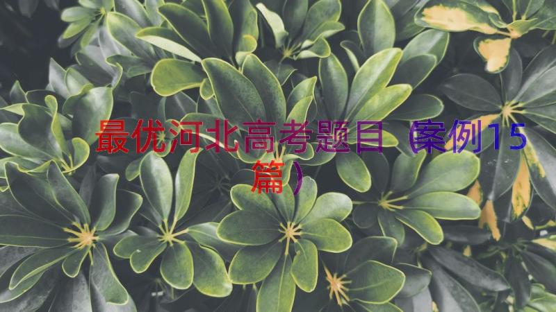 最优河北高考题目（案例15篇）