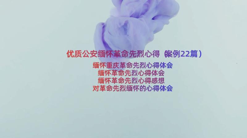 优质公安缅怀革命先烈心得（案例22篇）