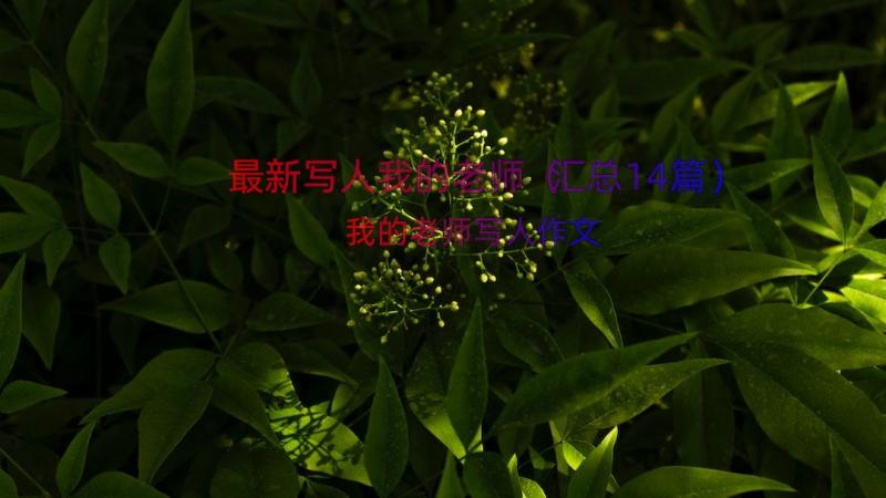 最新写人我的老师（汇总14篇）