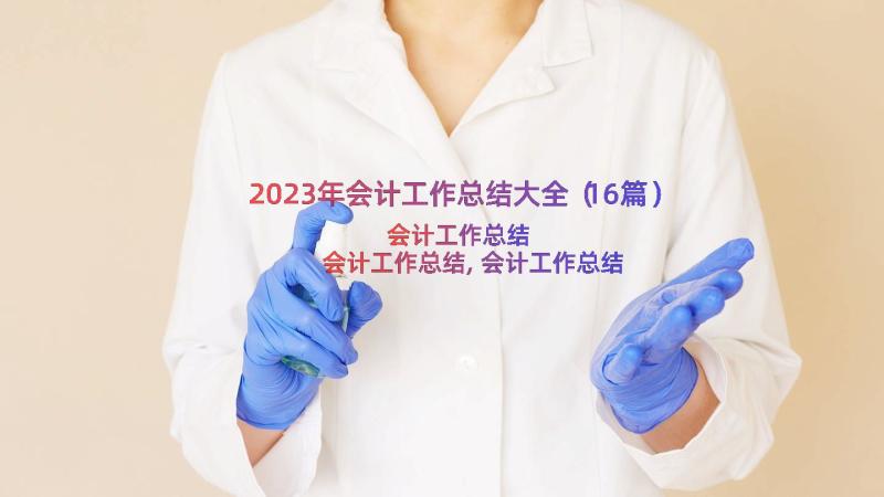 2023年会计工作总结大全（16篇）