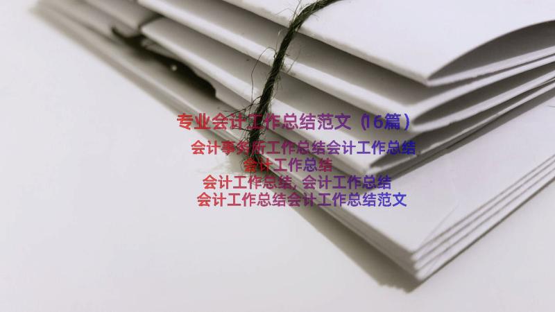 专业会计工作总结范文（16篇）