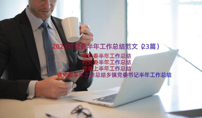 2023年党委半年工作总结范文（23篇）