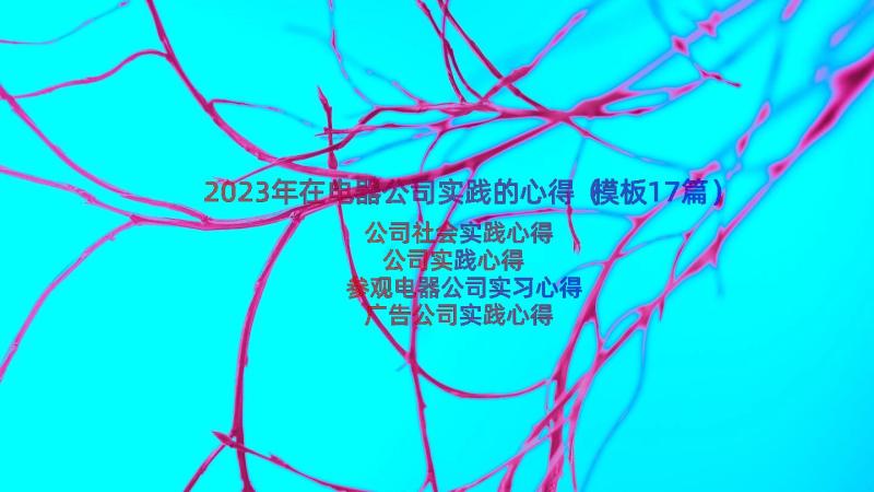 2023年在电器公司实践的心得（模板17篇）