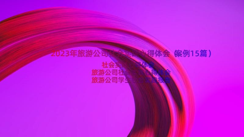 2023年旅游公司社会实践心得体会（案例15篇）