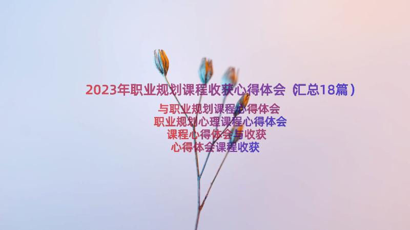 2023年职业规划课程收获心得体会（汇总18篇）