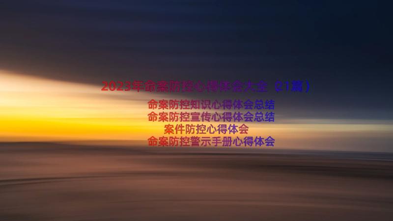 2023年命案防控心得体会大全（21篇）