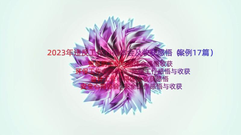 2023年违反工作心得体会及收获感悟（案例17篇）