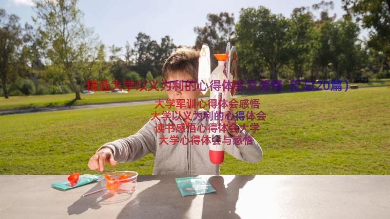 精选大学以义为利的心得体会及感悟（汇总20篇）