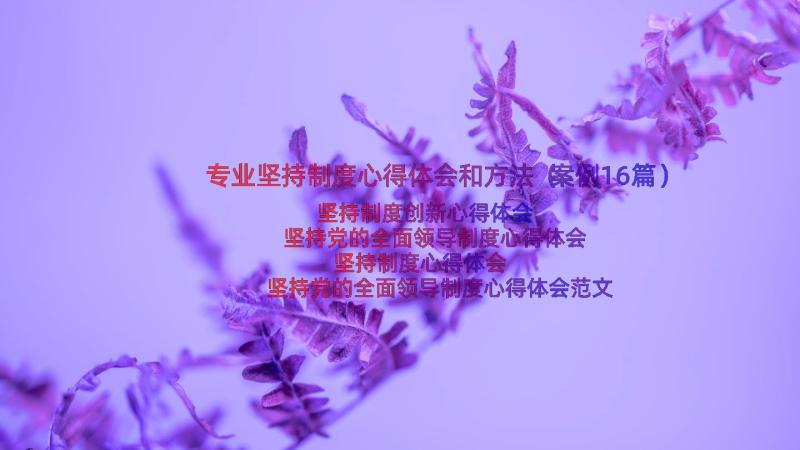 专业坚持制度心得体会和方法（案例16篇）