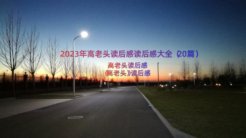 2023年高老头读后感读后感大全（20篇）