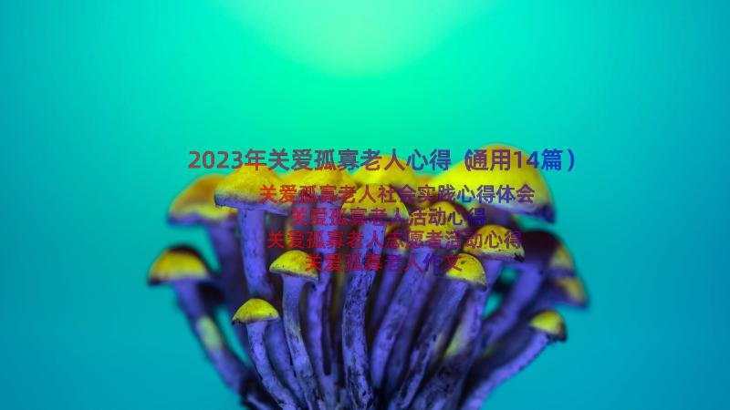 2023年关爱孤寡老人心得（通用14篇）