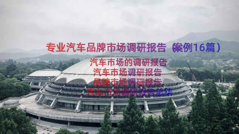 专业汽车品牌市场调研报告（案例16篇）