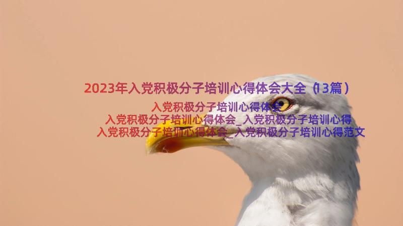 2023年入党积极分子培训心得体会大全（13篇）