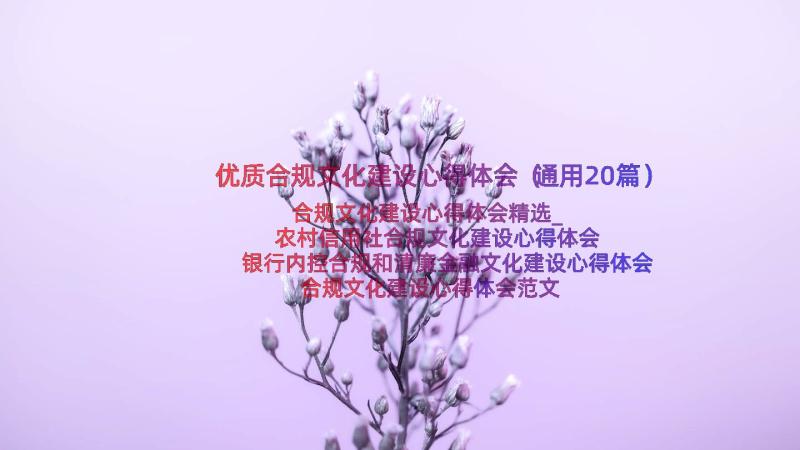 优质合规文化建设心得体会（通用20篇）