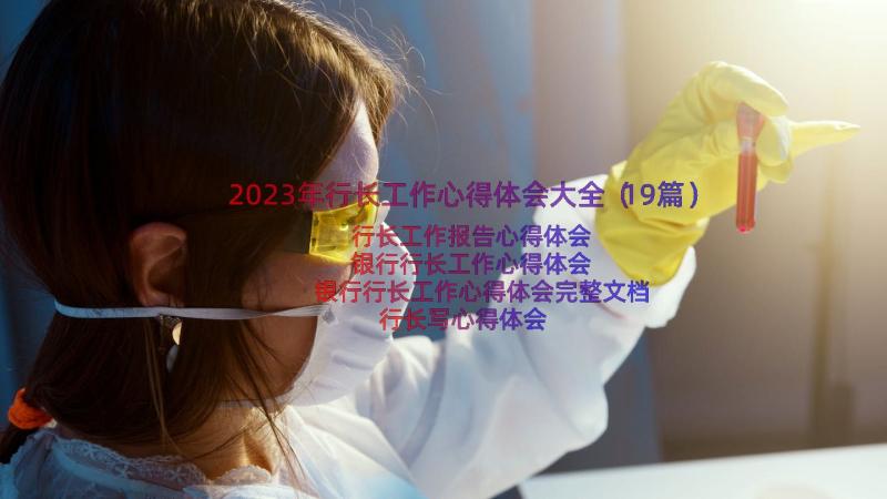 2023年行长工作心得体会大全（19篇）