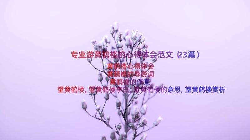 专业游黄鹤楼的心得体会范文（23篇）