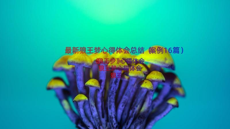 最新狼王梦心得体会总结（案例16篇）