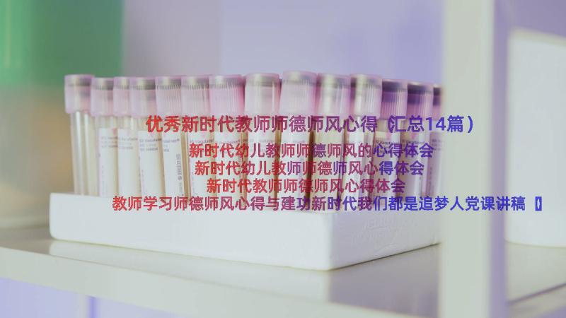 优秀新时代教师师德师风心得（汇总14篇）