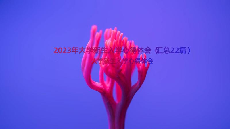 2023年大学新生入学心得体会（汇总22篇）