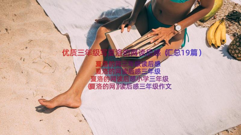 优质三年级写夏洛的网读后感（汇总19篇）