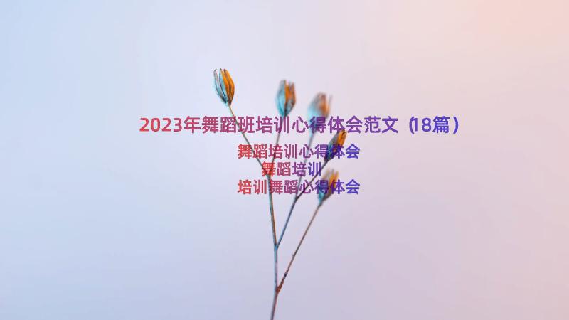 2023年舞蹈班培训心得体会范文（18篇）