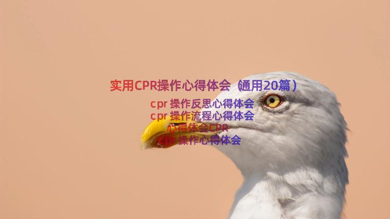 实用CPR操作心得体会（通用20篇）