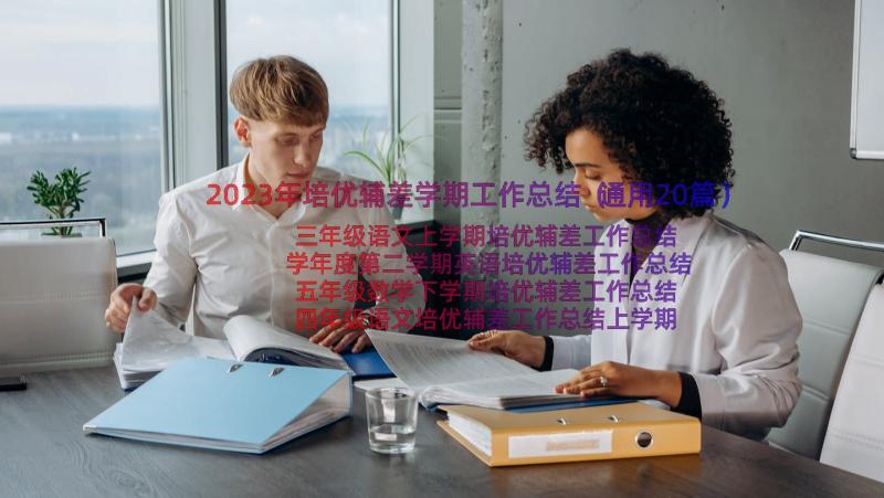 2023年培优辅差学期工作总结（通用20篇）