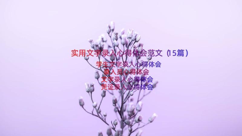 实用文字录入心得体会范文（15篇）