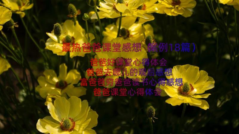 最热爸爸课堂感想（案例18篇）