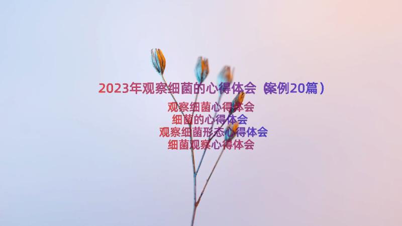 2023年观察细菌的心得体会（案例20篇）