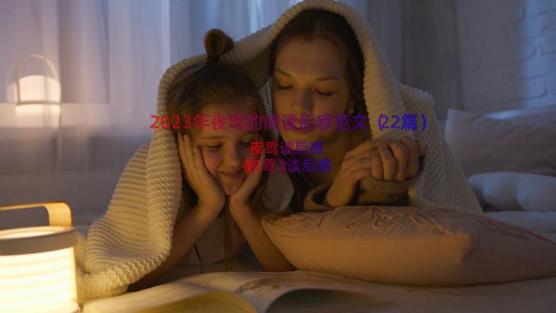 2023年夜莺的阅读后感范文（22篇）