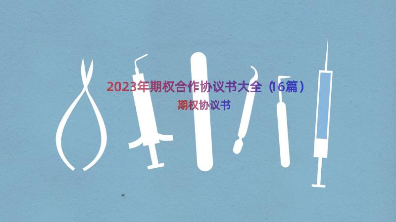 2023年期权合作协议书大全（16篇）