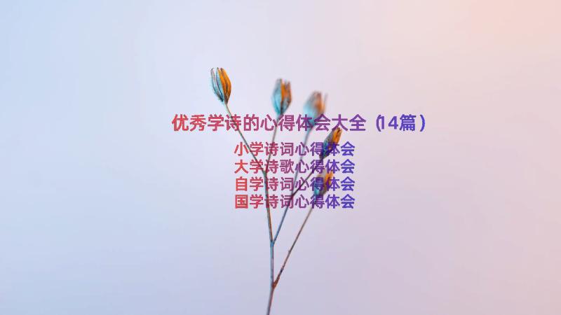 优秀学诗的心得体会大全（14篇）