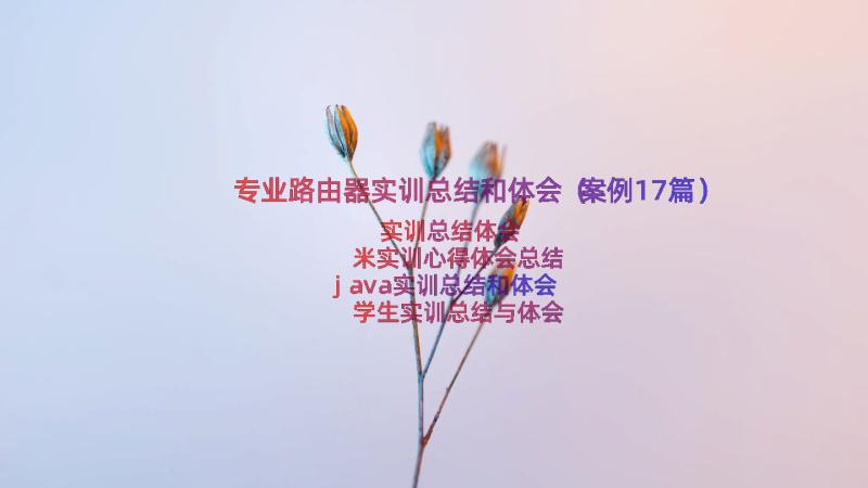 专业路由器实训总结和体会（案例17篇）