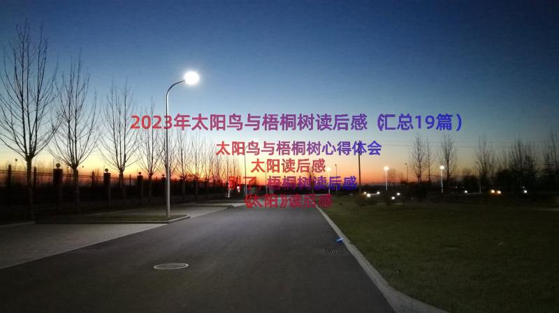 2023年太阳鸟与梧桐树读后感（汇总19篇）