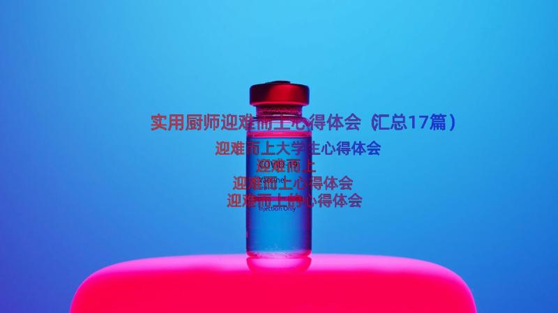 实用厨师迎难而上心得体会（汇总17篇）