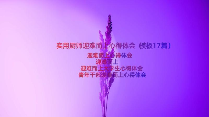 实用厨师迎难而上心得体会（模板17篇）