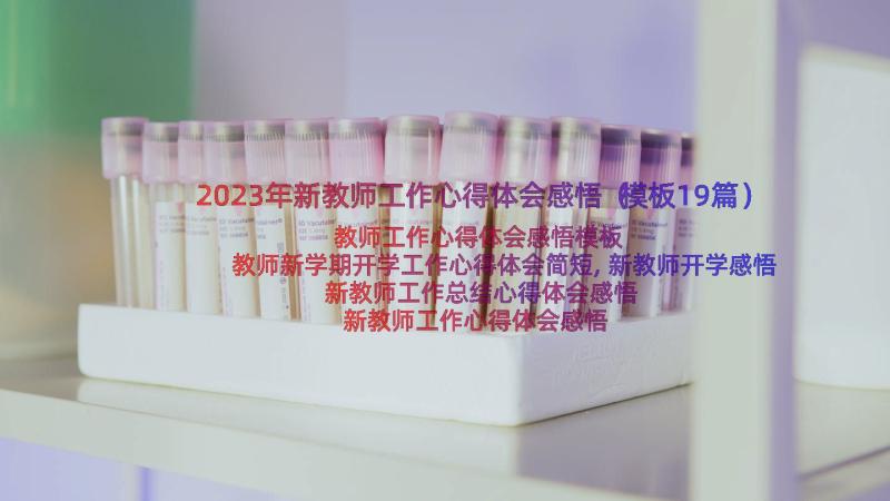 2023年新教师工作心得体会感悟（模板19篇）